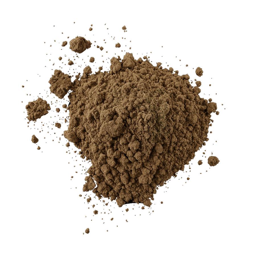 healthy coffee alternative
